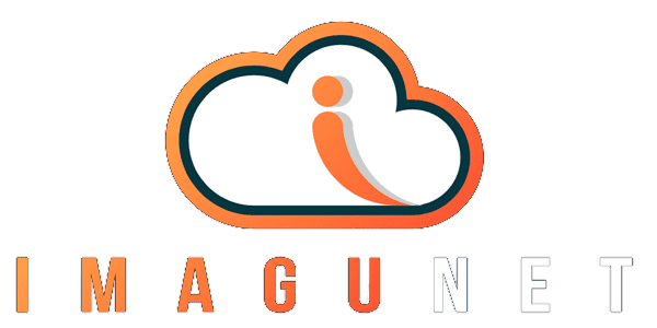 Logo représentant la société Imagunet