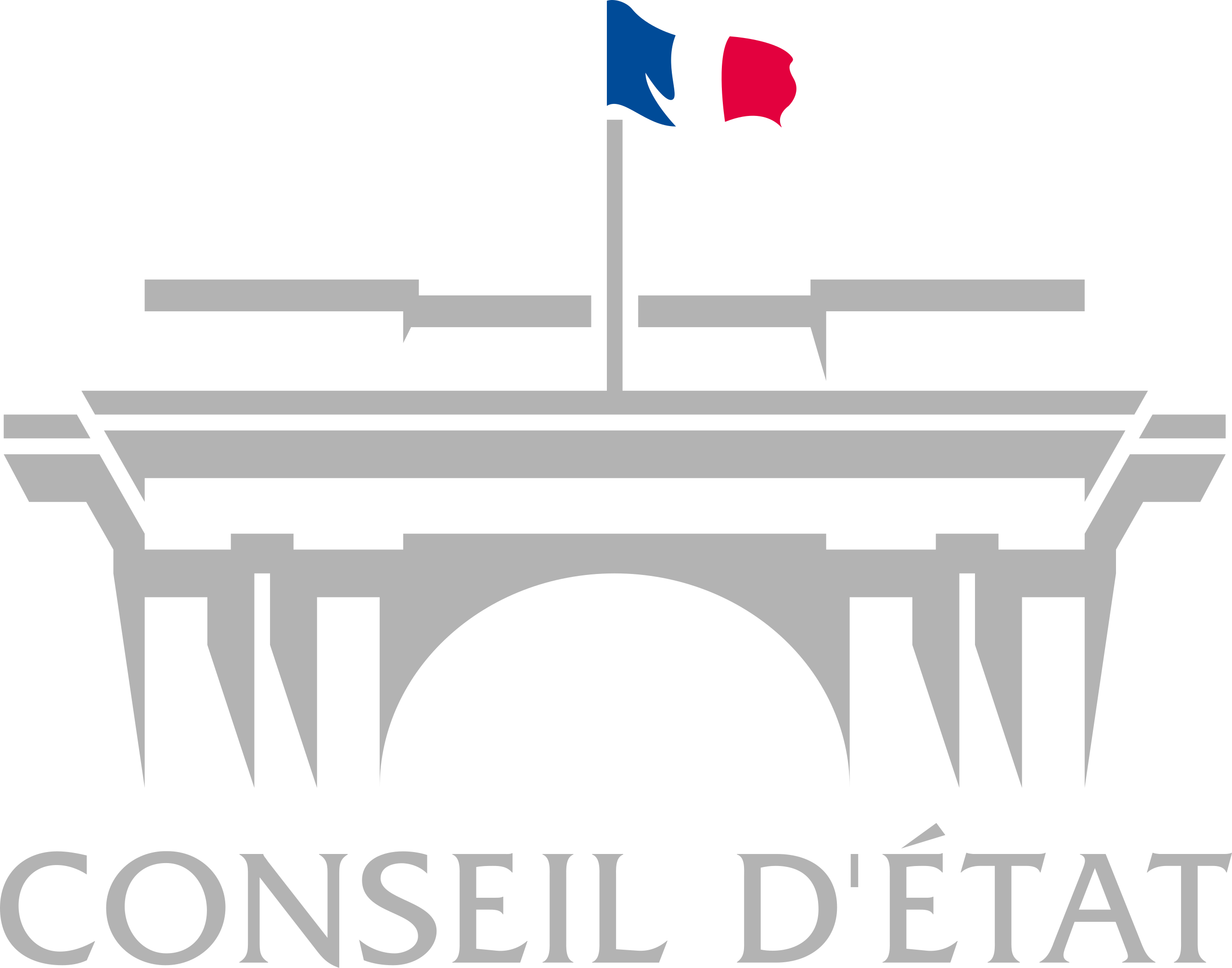 Logo représentant la société conseil d'état