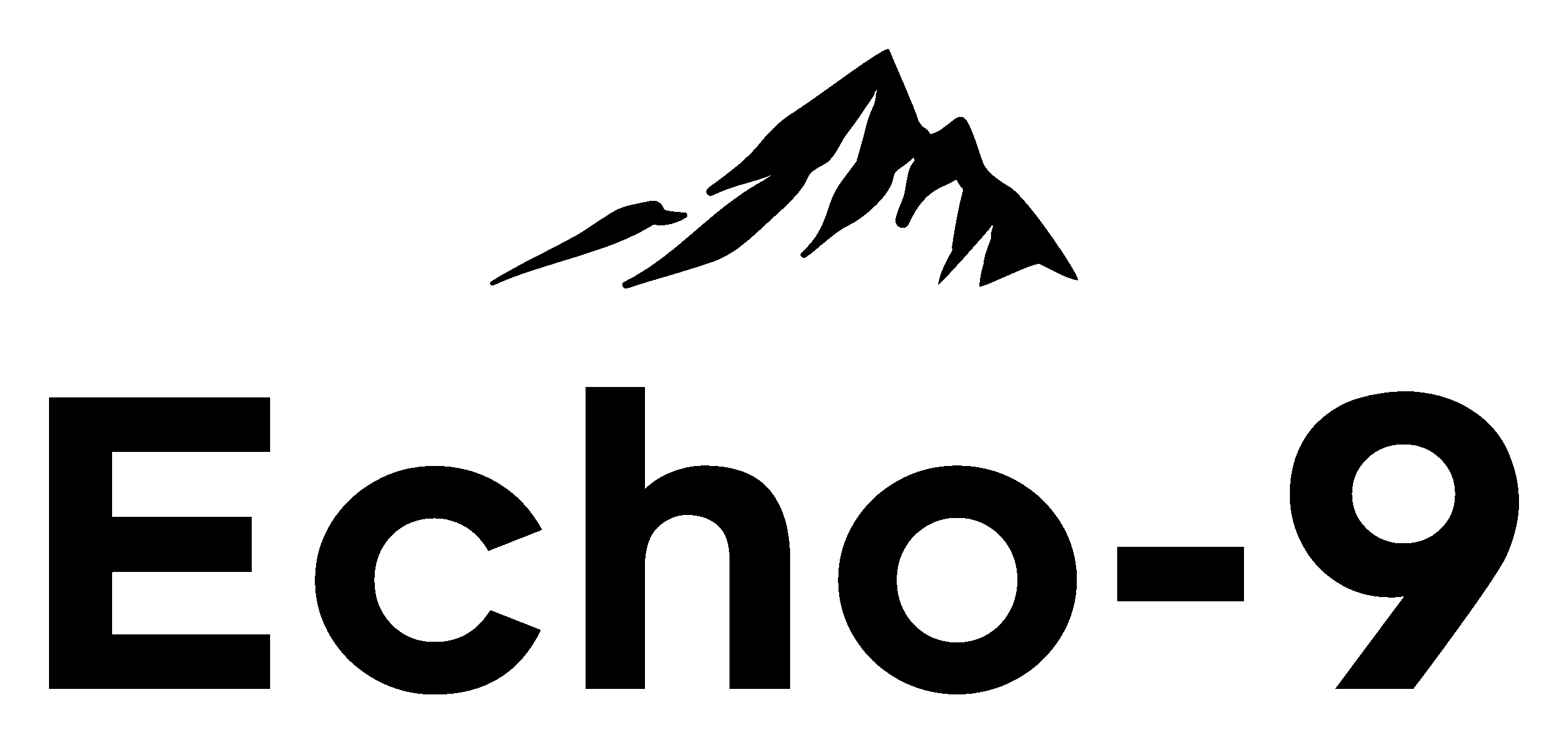 Logo representing the Echo-9 company
