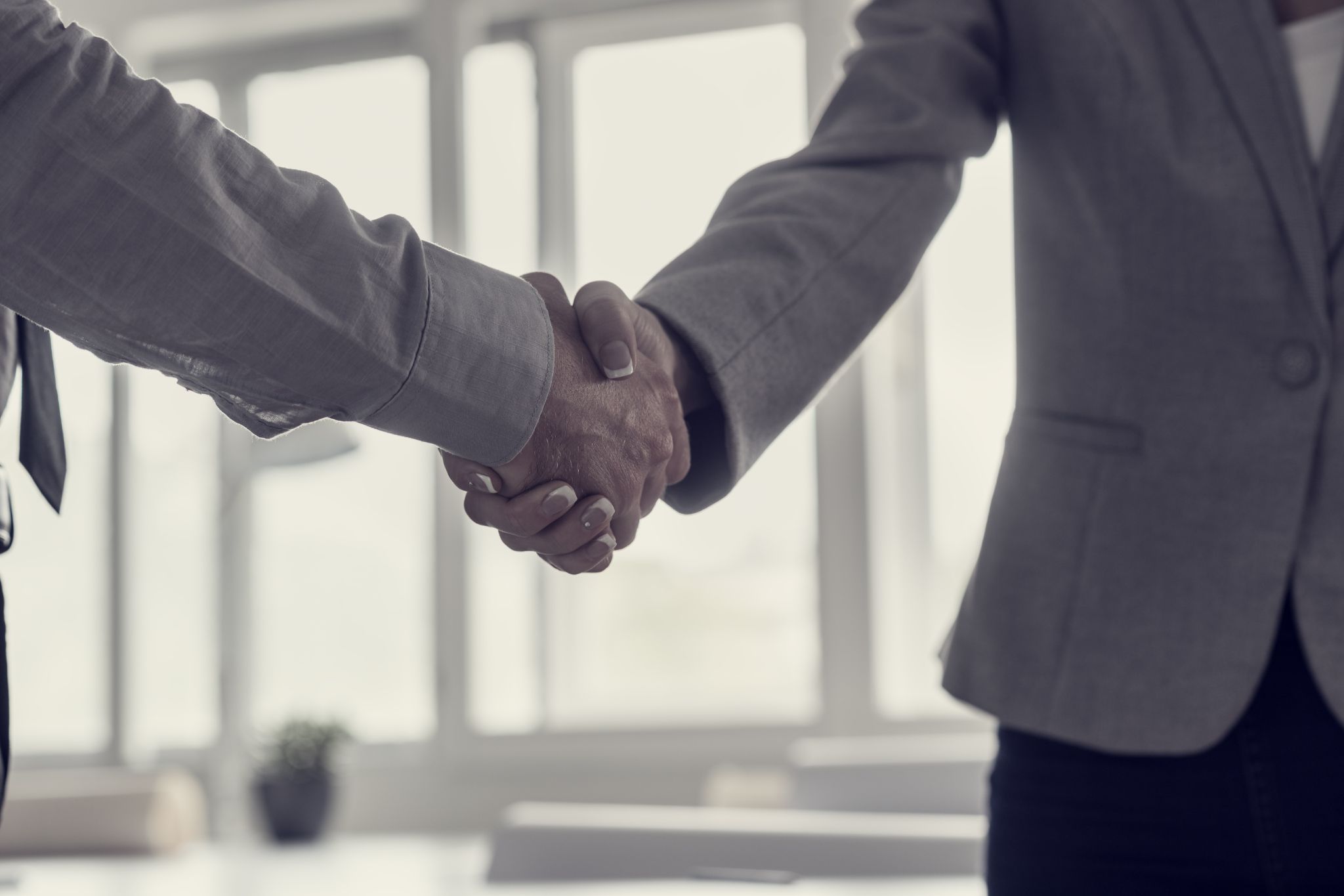 Image depicting two people shaking hands, symbolizing partnership